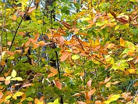 Fall '05 - 3